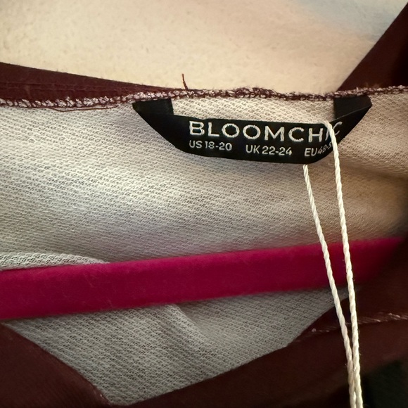 NWT Ombre Hoodie - Picture 3 of 4